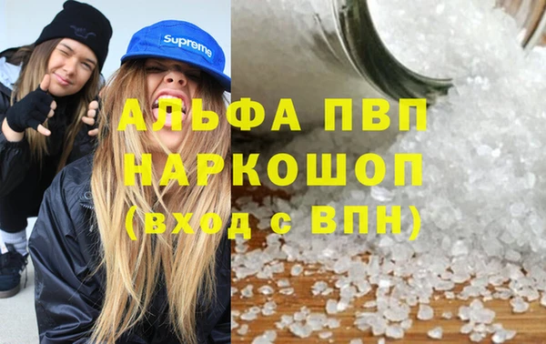 СК Абаза