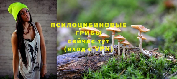 СК Абаза