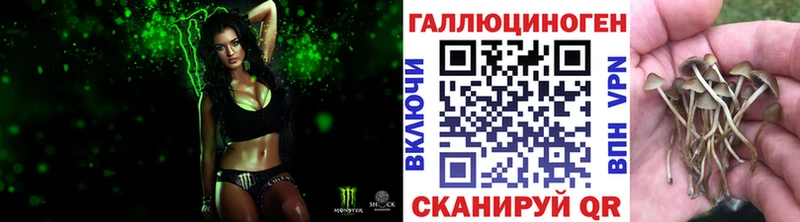 Псилоцибиновые грибы GOLDEN TEACHER  Егорьевск 