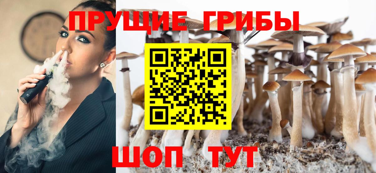 Егорьевск  Псилоцибиновые грибы ЛСД  купить наркотик  Вход с VPN 
