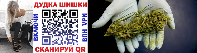 наркотики  Егорьевск  Канабис план 